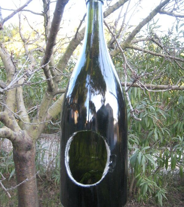 Champagne pour les oiseaux: un distributeur de graines avec une bouteille de champagne
