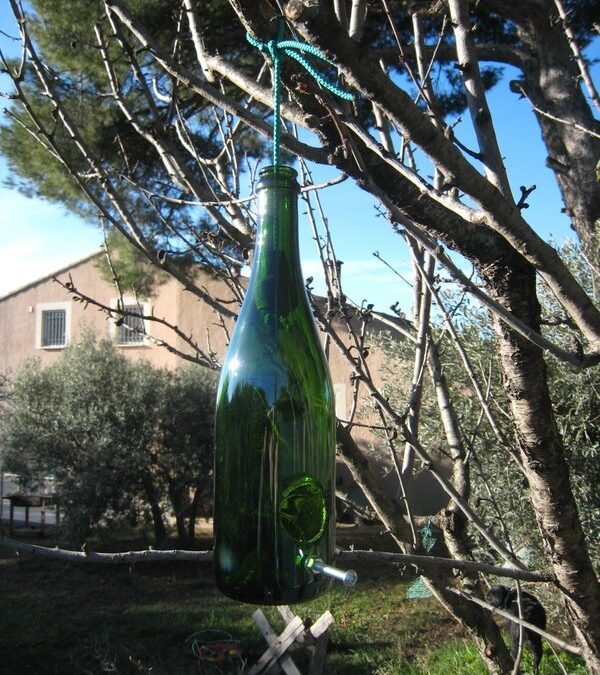 Un nichoir à oiseaux avec une bouteille