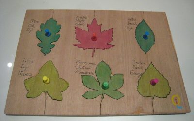 Un puzzle feuilles d&rsquo;arbre pour Thais