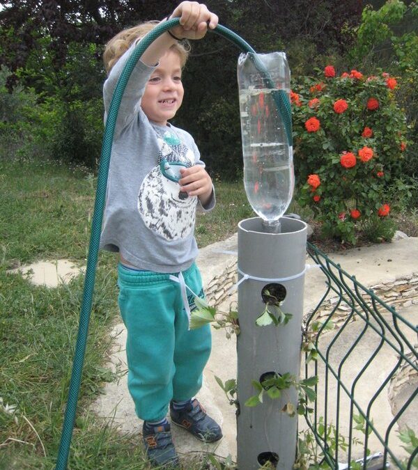 Des fraises en hauteur dans un tube PVC