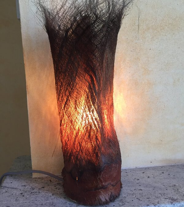 Une lampe … en écorce de palmier