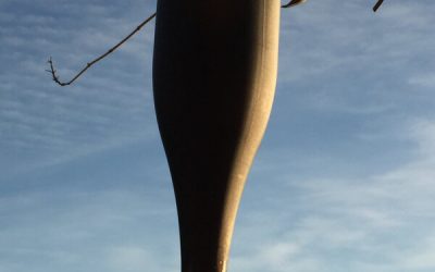 Des suspensions: un autre usage pour les bouteilles coupées