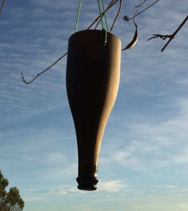 Des suspensions: un autre usage pour les bouteilles coupées