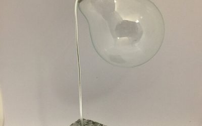 Des soliflores avec des ampoules