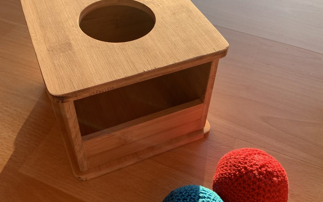 Une boite et des boules pour Milo